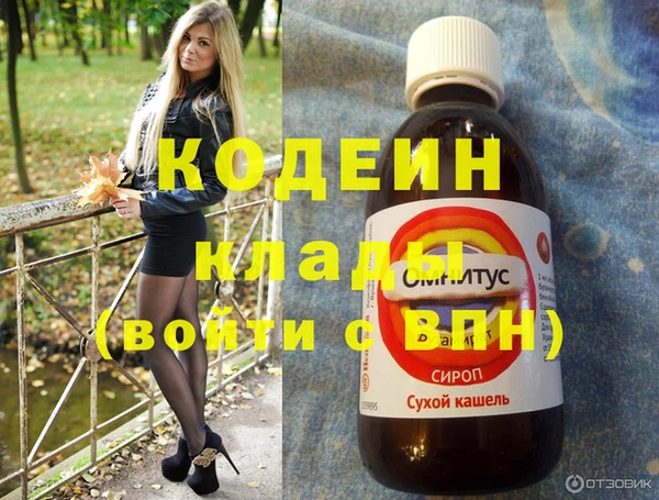 индика Абаза