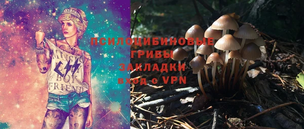 индика Абаза