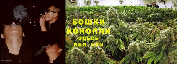 ГАЛЛЮЦИНОГЕННЫЕ ГРИБЫ Абдулино