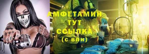 индика Абаза