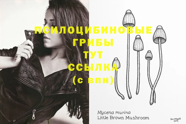 индика Абаза