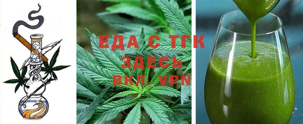 индика Абаза