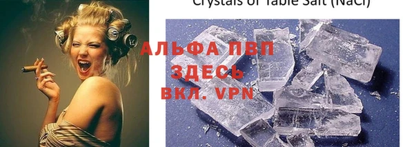 индика Абаза