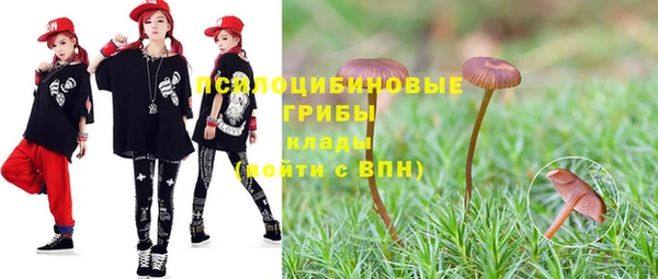 ГАЛЛЮЦИНОГЕННЫЕ ГРИБЫ Абдулино