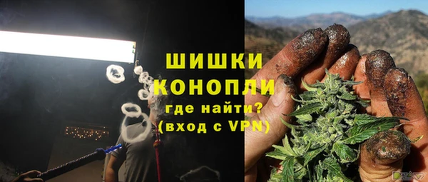 ГАЛЛЮЦИНОГЕННЫЕ ГРИБЫ Абдулино
