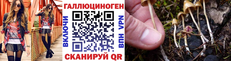 магазин продажи   Серафимович  Галлюциногенные грибы мухоморы 